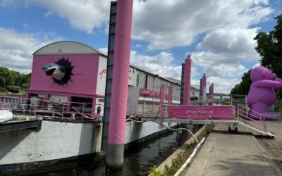 NOUVEAU PROJET DE VIE POUR LA PÉNICHE « TOUTA »