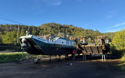 Expertises réglementaires de deux unités fluviales à Cahors, sur le Lot